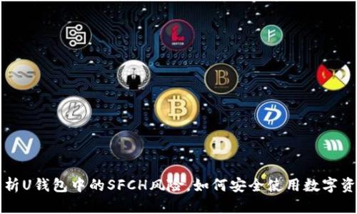 解析U钱包中的SFCH风险，如何安全使用数字资产