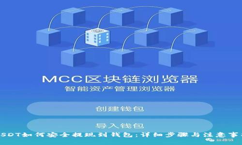 USDT如何安全提现到钱包：详细步骤与注意事项