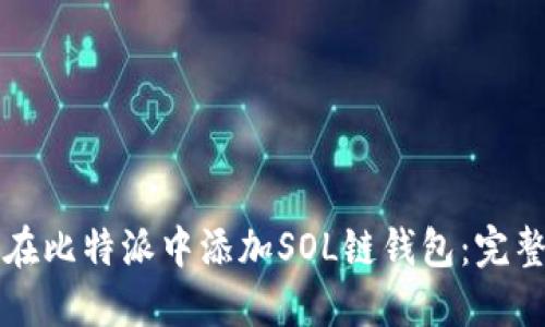 如何在比特派中添加SOL链钱包：完整指南