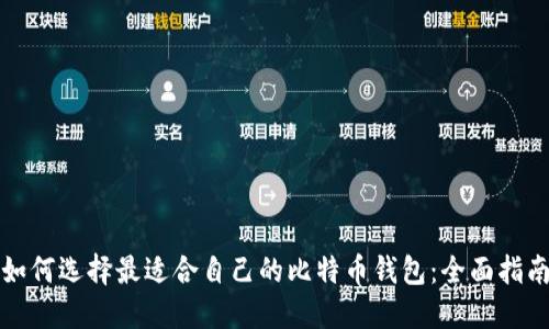 如何选择最适合自己的比特币钱包：全面指南