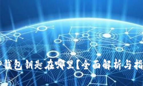 OP钱包钥匙在哪里？全面解析与指南