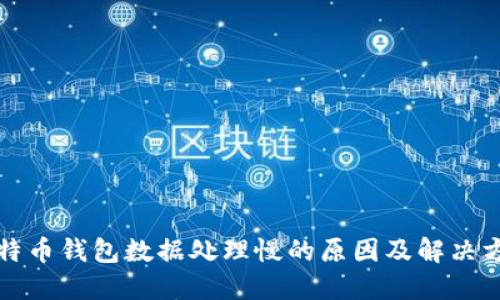 比特币钱包数据处理慢的原因及解决方案