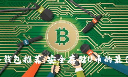 U币冷钱包推荐：安全存储U币的最佳选择