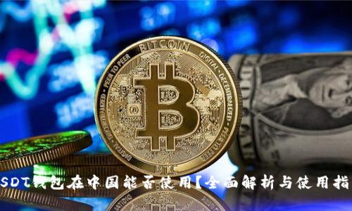 USDT钱包在中国能否使用？全面解析与使用指南