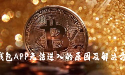 U钱包APP无法进入的原因及解决方案