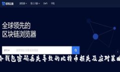 冷钱包密码丢失导致的比