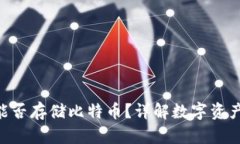 Tokenim能否存储比特币？详