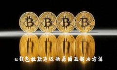 u钱包放款延迟的原因及解