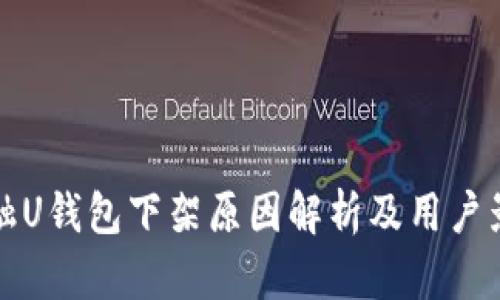 点融U钱包下架原因解析及用户影响