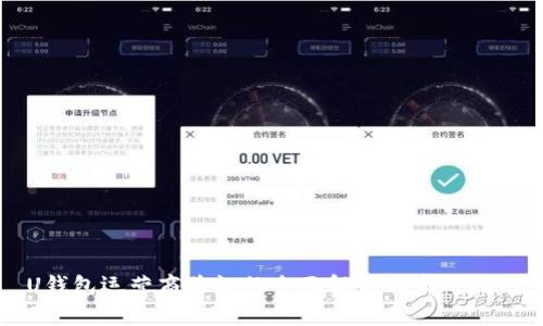 U钱包运营商验证的全面解析与实用指南