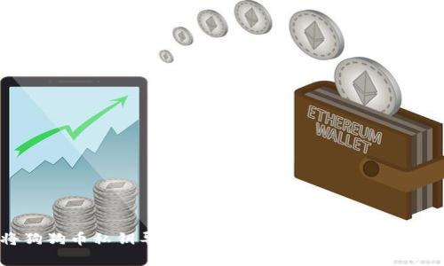 如何将狗狗币私钥导入tpWallet：详细步骤与注意事项