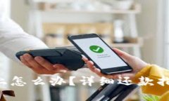 u钱包登录不上怎么办？详