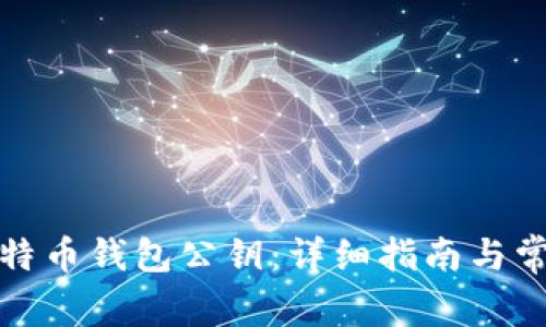 如何查看比特币钱包公钥：详细指南与常见问题解答