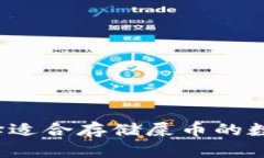 如何选择适合存储屎币的