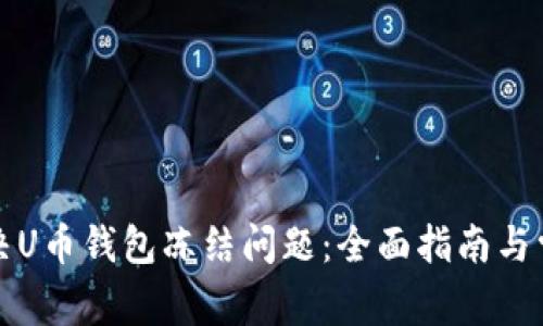如何解决U币钱包冻结问题：全面指南与常见问答