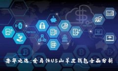 奢华之选：爱马仕U5山羊皮