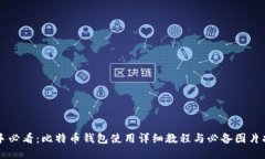 新手必看：比特币钱包使