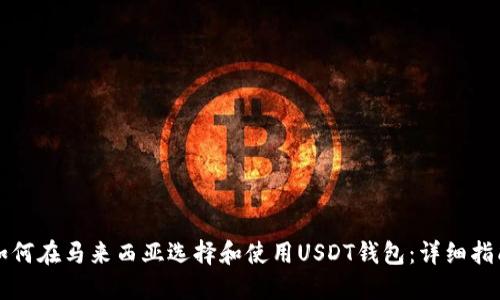 如何在马来西亚选择和使用USDT钱包：详细指南