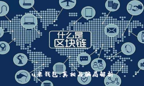 u米钱包：真相与骗局解析