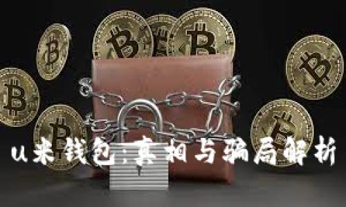 u米钱包：真相与骗局解析