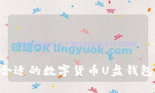 如何选择合适的数字货币U盘钱包：全面指南
