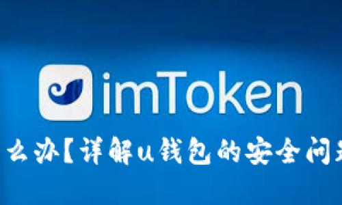 u钱包丢钱怎么办？详解u钱包的安全问题与解决方案