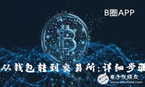 如何将SHIB从钱包转到交易所：详细步骤与注意事项
