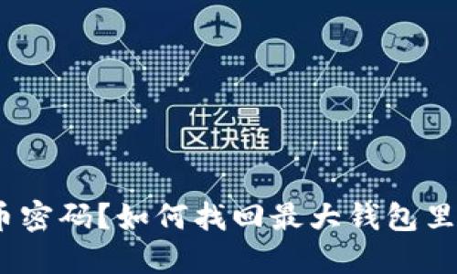 忘记比特币密码？如何找回最大钱包里的BTC资产
