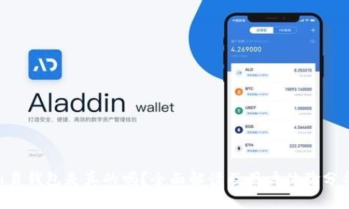u易钱包是真的吗？全面解读及用户体验分析
