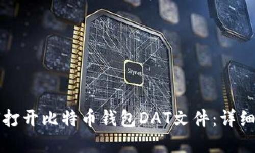 如何打开比特币钱包DAT文件：详细指南