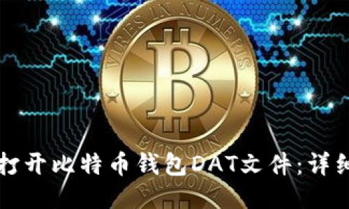 如何打开比特币钱包DAT文件：详细指南