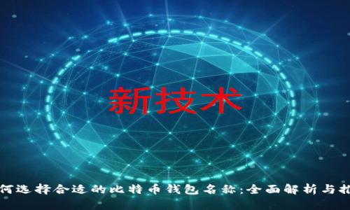 如何选择合适的比特币钱包名称：全面解析与推荐