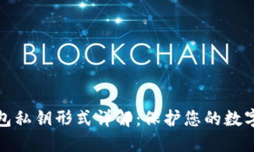 比特币钱包私钥形式详解：保护您的数字资产安全