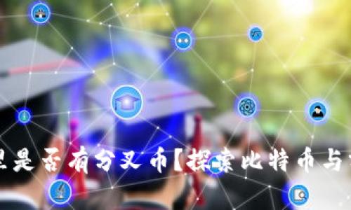 比特币钱包里是否有分叉币？探索比特币与分叉币的关系