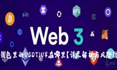冷钱包里的USDT（U）在哪里？详尽解析与风险防范