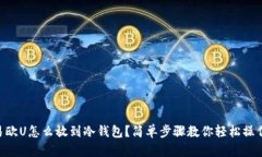 易欧U怎么放到冷钱包？简单步骤教你轻松操作！
