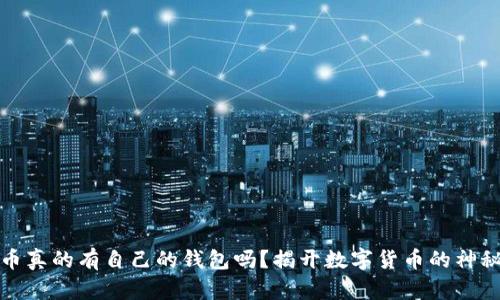 比特币真的有自己的钱包吗?揭开数字货币的神秘面纱