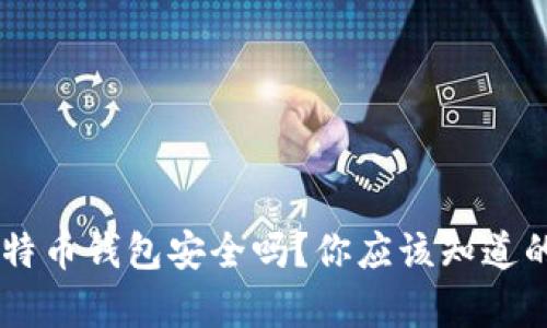 U盘比特币钱包安全吗？你应该知道的真相！