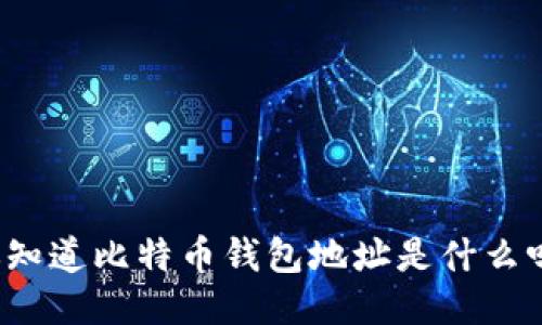 你知道比特币钱包地址是什么吗?