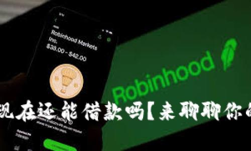 u钱包现在还能借款吗?来聊聊你的选择!