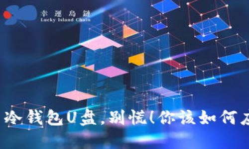 丢了冷钱包U盘,别慌!你该如何应对?