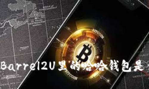 想知道Barrel2U里的哈哈钱包是什么吗?