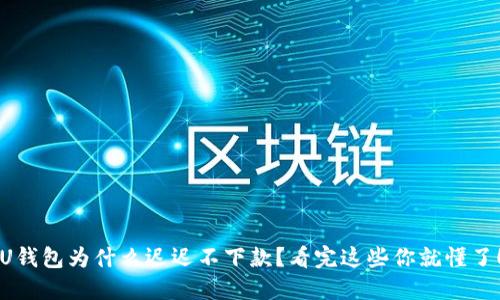 U钱包为什么迟迟不下款?看完这些你就懂了!