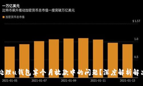 怎么处理u钱包半个月放款中的问题?深度解析解决方案