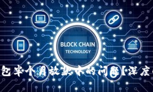 怎么处理u钱包半个月放款中的问题?深度解析解决方案