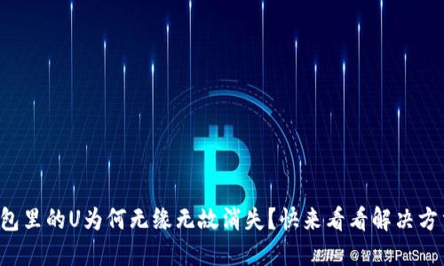 钱包里的U为何无缘无故消失?快来看看解决方法!