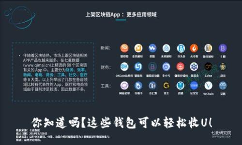 你知道吗?这些钱包可以轻松收U!