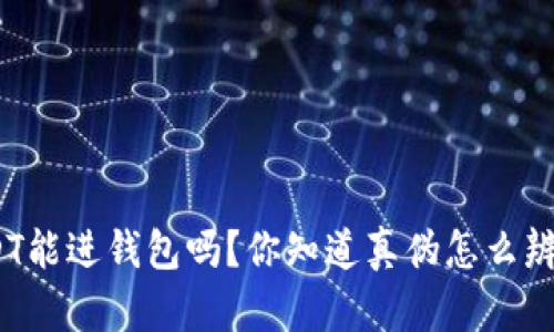 假USDT能进钱包吗?你知道真伪怎么辨别吗?