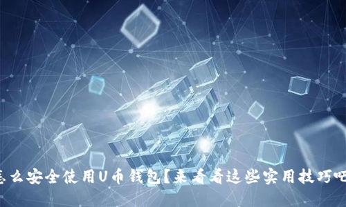 怎么安全使用U币钱包?来看看这些实用技巧吧!