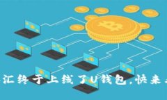 你听说了吗？丅R外汇终于